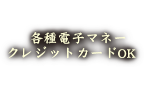 各種電子マネークレジットカードOK