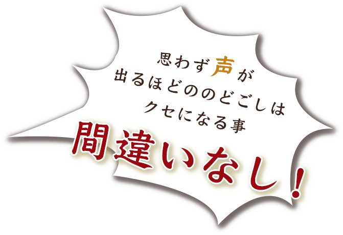 思わず声が出るほどののどごしはクセになる事間違いなし！